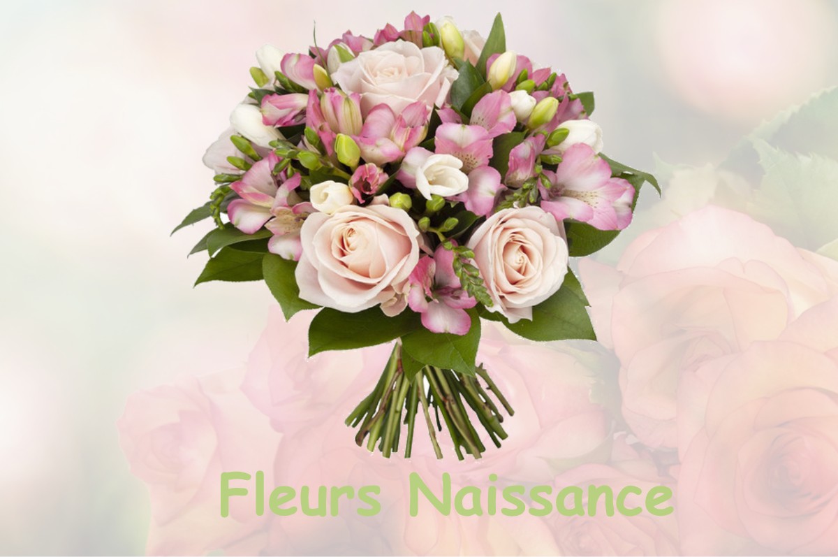 fleurs naissance BERSAC-SUR-RIVALIER
